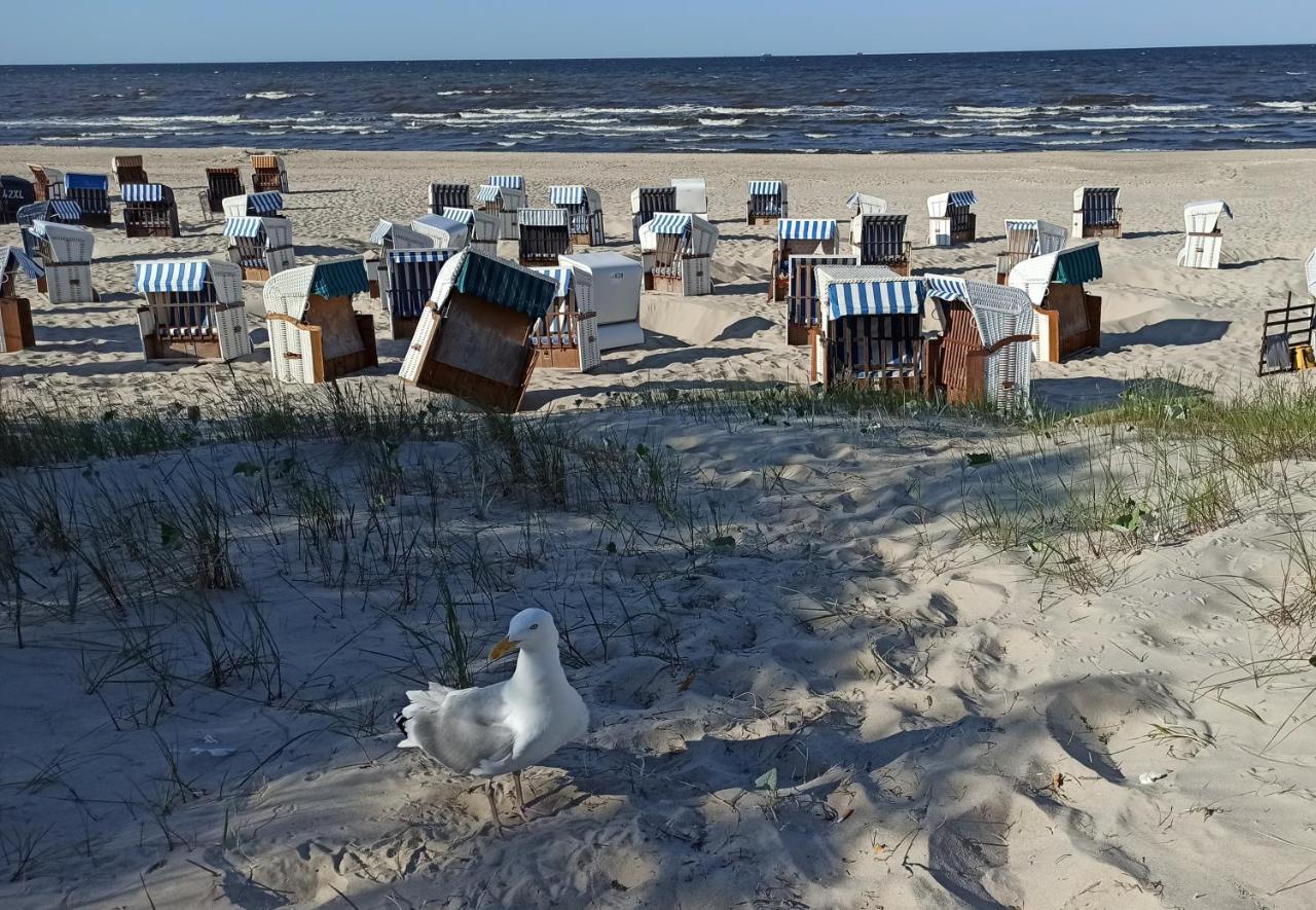 Ferienwohnung Strand25 Trassenheide Extérieur photo